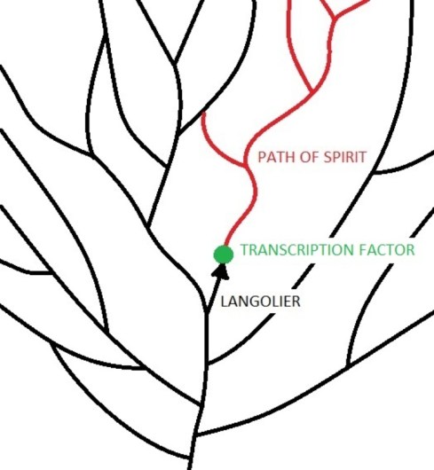 Langoliers and TransciptIon Factors