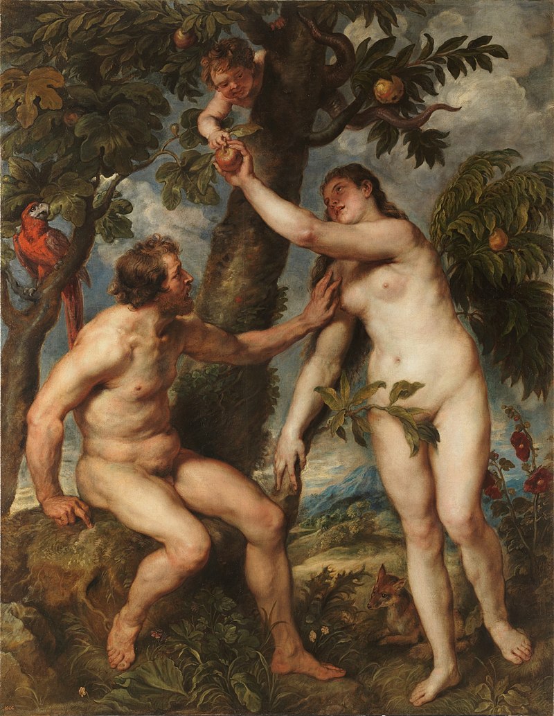 800px-peter_paul_rubens_004